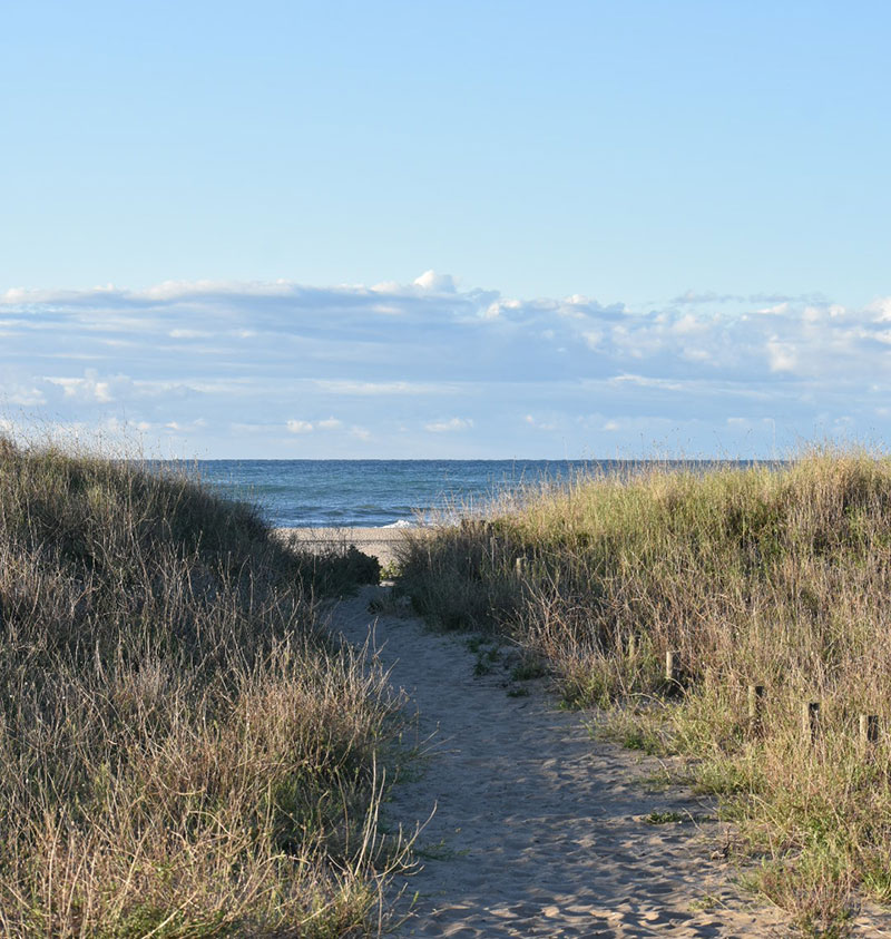 Beach path amongst sand dunes in Castelldefels